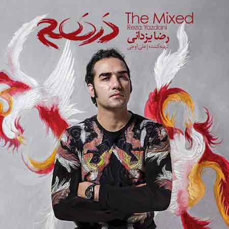 رضا یزدانی ای کاش عشق را زبان سخن بود 